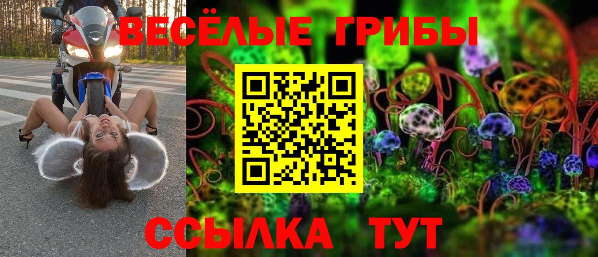 Воскресенск  Галлюциногенные грибы прущие грибы  Вход с VPN  наркота  Галлюциногенные грибы Psilocybe 